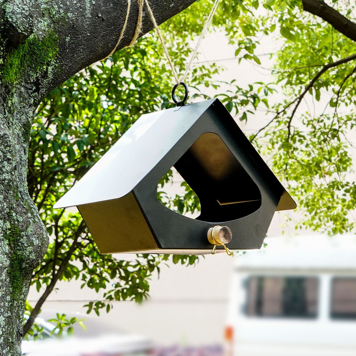 Enhance Your Garden with Our European-style Simple Iron Bird Food Feeder